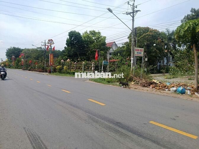 Bán đất sát cạnh KCN An Linh 346m2 sổ riêng, thích hợp xây trọ, đầu tư