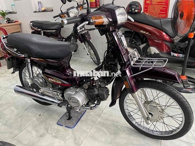 sbuper drim 2002 biển thành phố