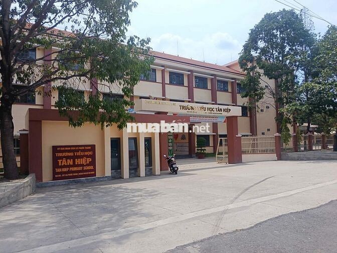 Bán đất sát cạnh KCN An Linh 346m2 sổ riêng, thích hợp xây trọ, đầu tư