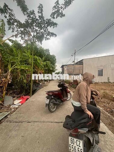 cần bán đất xã vĩnh thanh nhơn trạch đồng nai cũ