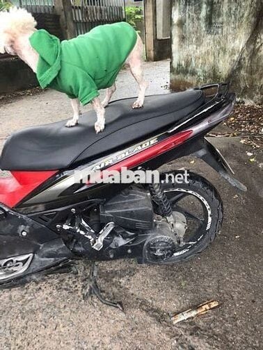 Honda Air Blade Đỏ Đen
