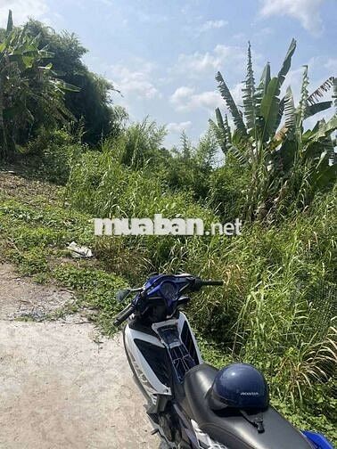 Yamaha Exciter 135 2013 Xanh trắng Đã sử dụng