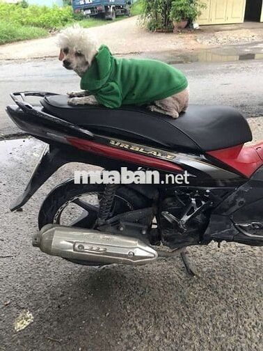 Honda Air Blade Đỏ Đen