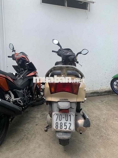 Honda Lead 2010 Vàng cát