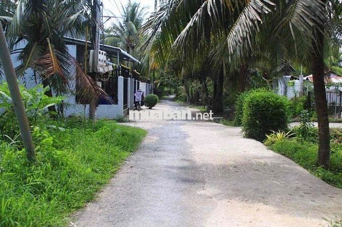 BÁN ĐẤT PHƯỜNG PHÚ TÂN, GẦN CHỢ TÚ ĐIỀN, HẺM SÂN BIA