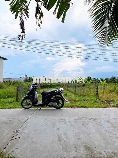 CHÍNH CHỦ cần bán gấp ĐẤT THỔ CƯ SẠCH ĐẸP