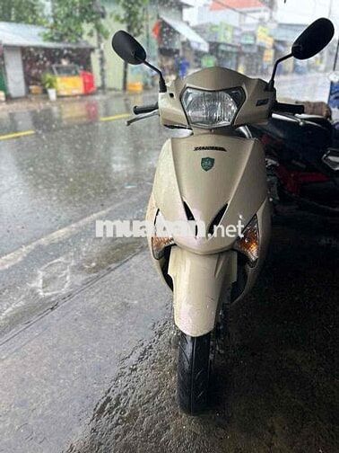 Honda Lead 2009 Vàng kem