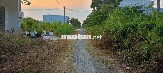 Cần bán nhà kdc đông phú, châu thành, cần thơ