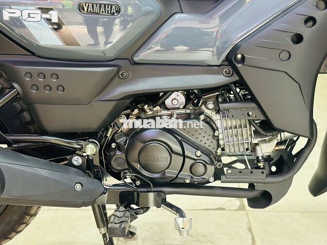 XE MÁY THỊNH PHÁT- PG-1 XÁM ABS 2026 LƯỚT 300KM
