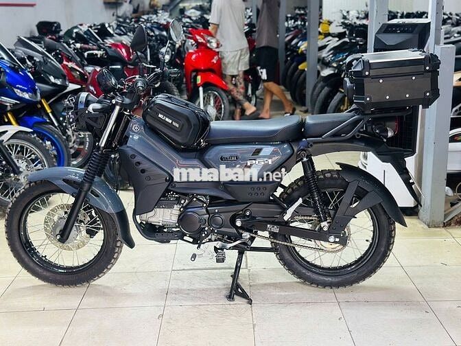 XE MÁY THỊNH PHÁT- PG-1 XÁM ABS 2026 LƯỚT 300KM