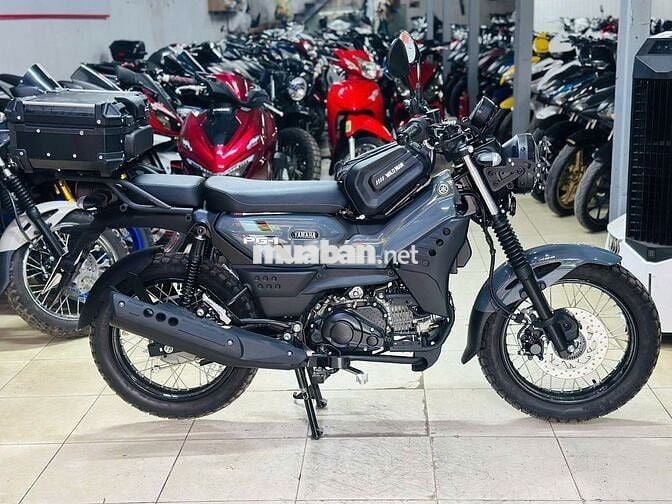 XE MÁY THỊNH PHÁT- PG-1 XÁM ABS 2026 LƯỚT 300KM