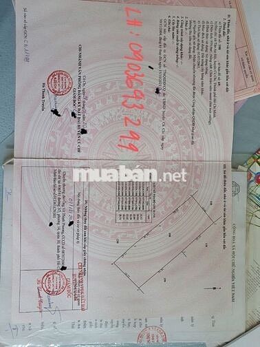 BÁN ĐÁT TRỒNG CÂY  XÃ TÂN AN HỘI, HUYỆN CỦ CHI,  – SỔ HỒNG RIÊNG