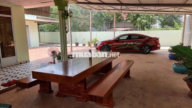 nhà vườn 20x50m đường trung lập
