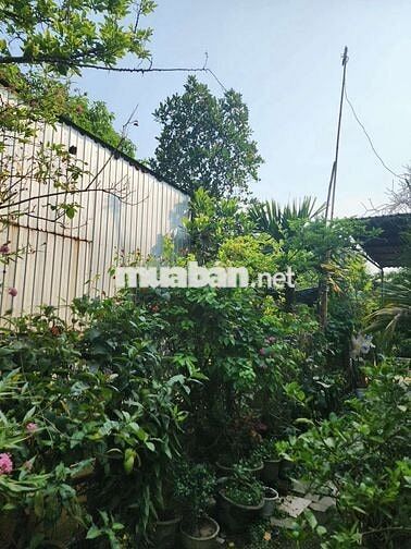 Chính cần cho thuê mặt bằng vạn xuân, phường kim long, huế