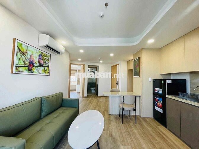 Cho thuê căn hộ cao cấp 2 phòng ngủ gần Cầu Rồng