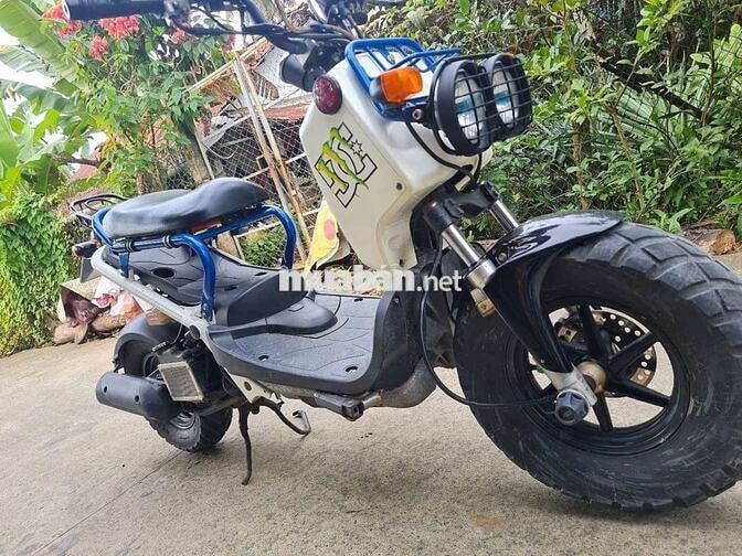 Honda 50 nội địa Nhật Trắng Đen Xanh