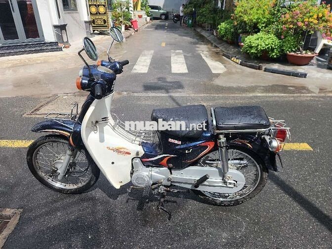 Honda Cub 50cc Xanh trắng Êm ái