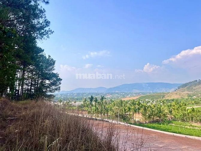 ĐẤT 2 MẶT TIỀN ĐƯỜNG BÊ TÔNG – KHÔNG GIAN THUNG LŨNG THÔNG XANH