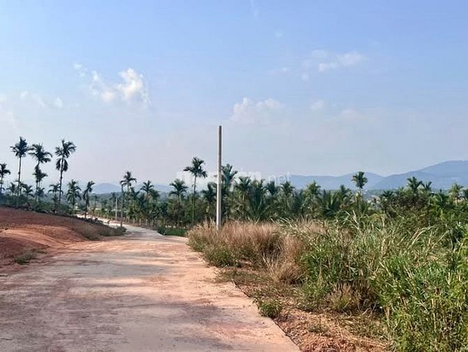 ĐẤT 2 MẶT TIỀN ĐƯỜNG BÊ TÔNG – KHÔNG GIAN THUNG LŨNG THÔNG XANH