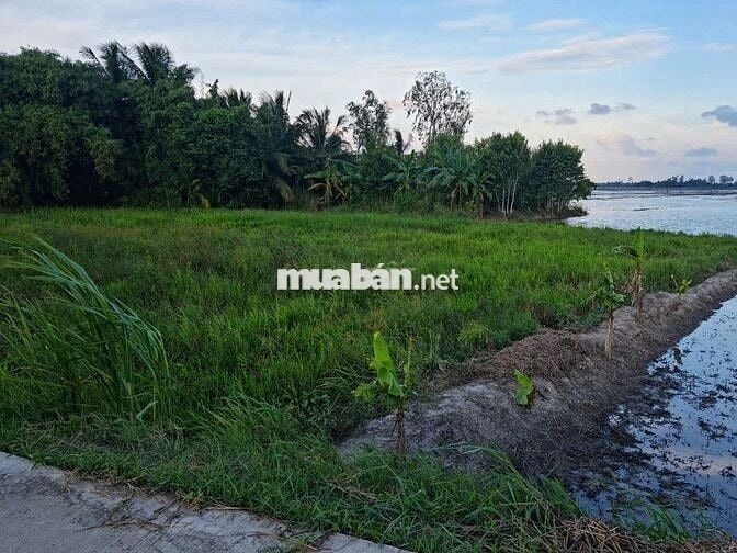 Mặt Tiền 100m, Đường bê tông 3,5 mét, Ngay xã Phú Thịnh Cũ