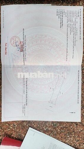 1 cặp nền 10m sau Lưng công an tỉnh mới tại Phường Phước  Hậu