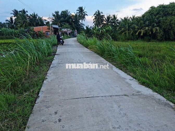 Mặt Tiền 100m, Đường bê tông 3,5 mét, Ngay xã Phú Thịnh Cũ