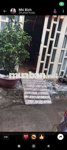 Nhà cho thuê đúc thật nhà sữa lại mới rẻ bèo 