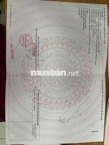 Chỉ cần 230tr sở hữu ngay nền đất  ngay gần đền thờ Phạm Hùng, L.Phước