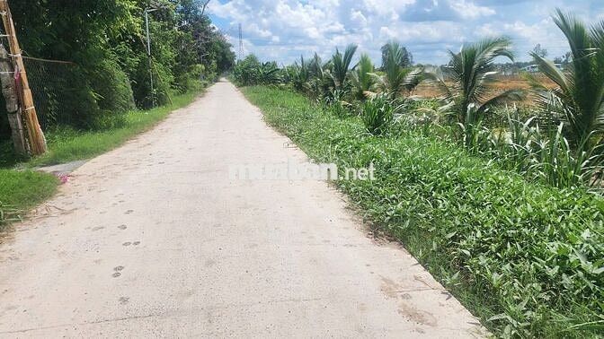 1 cặp nền 10m sau Lưng công an tỉnh mới tại Phường Phước  Hậu