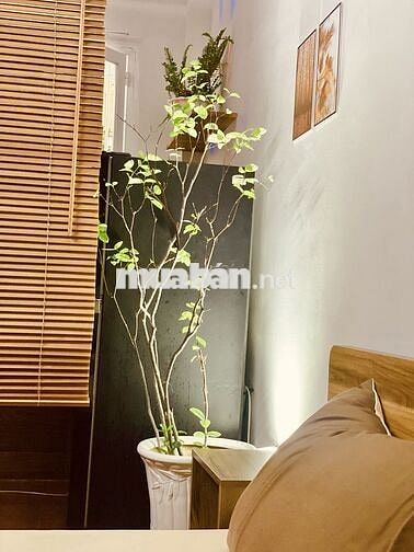 CHÍNH CHỦ - CHDV CỰC CHILL, RỘNG 50M2, WC RIÊNG, FULL NỘI THẤT,FREE DV