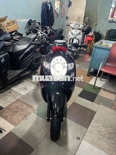 Honda Scoopy Đỏ đen