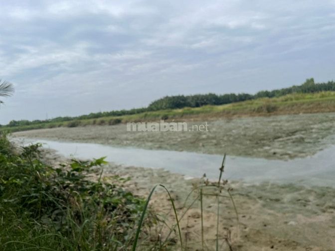 Cần bán 1361m2 đất CLN xã Bình Khánh, Cần  giờ (2,4 tỷ/trọn sổ)
