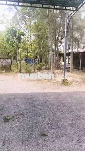 bán đất+Trang Trại ,Xã Phú Hoà Đông,DT,4149m² có 300m thổ cư giá 30 tỷ