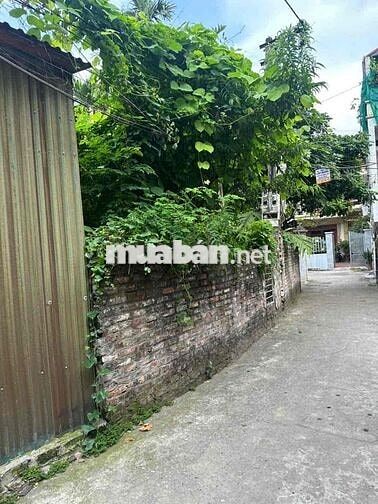 🏡 CHÍNH CHỦ BÁN ĐẤT PHÚC LỢI – , Ô TÔ VÀO TẬN ĐẤT 🚗