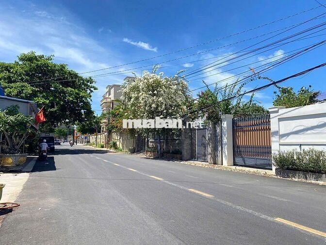 ĐẤT HIẾM NGANG 8 GIÁ CHỈ 1TY297TR CÁCH BIỂN PHƯỚC HẢI 500M