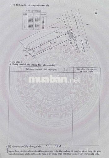 Đất MT Nguyễn Duy Cung 12x28 giá nhỉnh 100tr/m