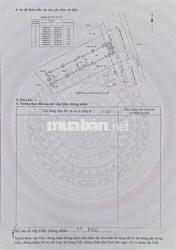 Đất MT Nguyễn Duy Cung 12x28 giá nhỉnh 100tr/m