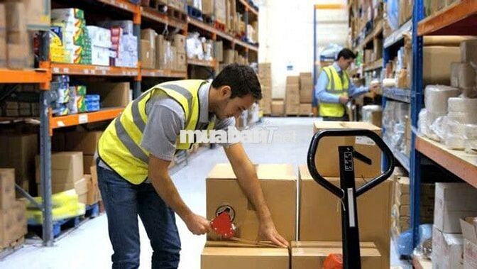 TUYỂN KẾ TOÁN KHÔNG CẦN KINH NGHIỆM LV BÌNH TÂN