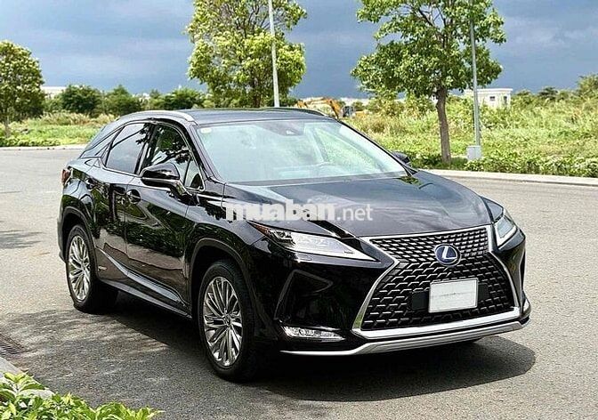 Lexus RX450h 2021 48.000 km Đen
