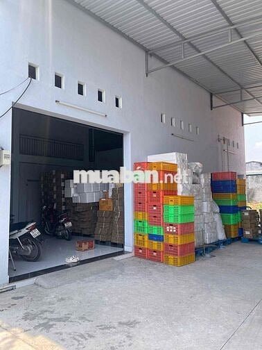 QC kiểm hàng nông sản
