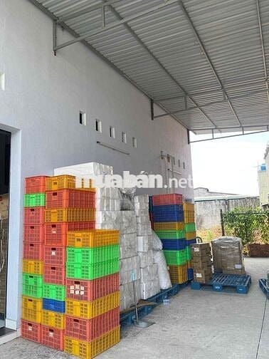 QC kiểm hàng nông sản