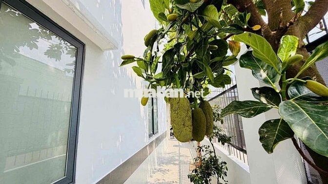 BIỆT THỰ NGANG 7M 2 LẦU SÁT CHỢ BÙI MÔN - LÊ THỊ HÀ