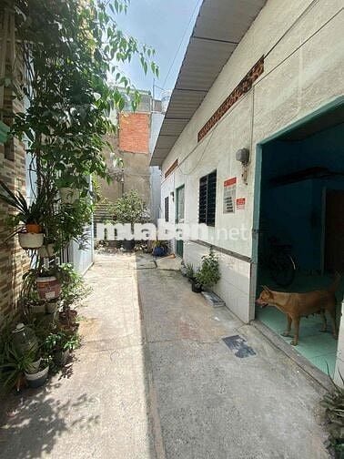 Phòng trọ giá rẻ - căn riêng biệt - 15m2 - Lê Văn Thọ