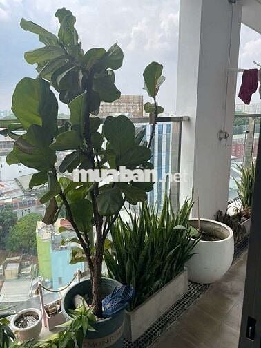 Bán gấp căn hộ Kingston, Quận Phú Nhuận, 2 phòng ngủ, đã có sổ hồng. 
