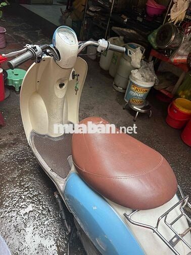 Honda Scooby 50cc Xanh Trắng