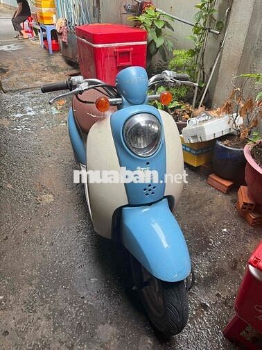 Honda Scooby 50cc Xanh Trắng