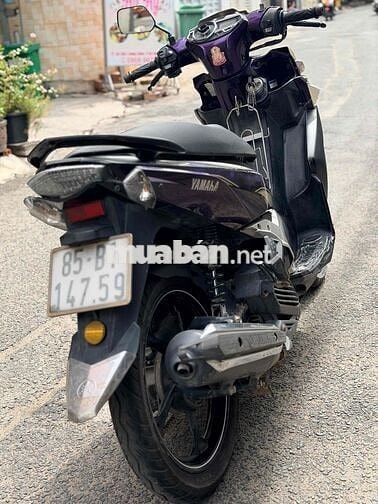 Yamaha Nouvo 5 Tím, Vàng đồng