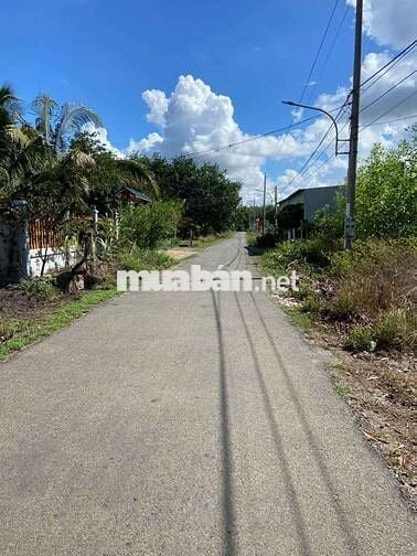 Chủ ngộp ngân hàng cần bán gấp đất đường Xây Sát Văn Minh