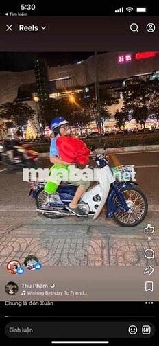 Honda  Cub 86 Xanh trắng