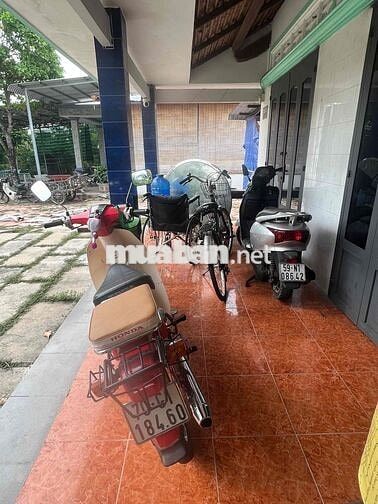Honda  Cub 86 Xanh trắng